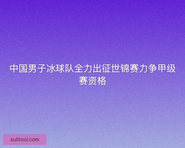 中国男子冰球队全力出征世锦赛力争甲级赛资格